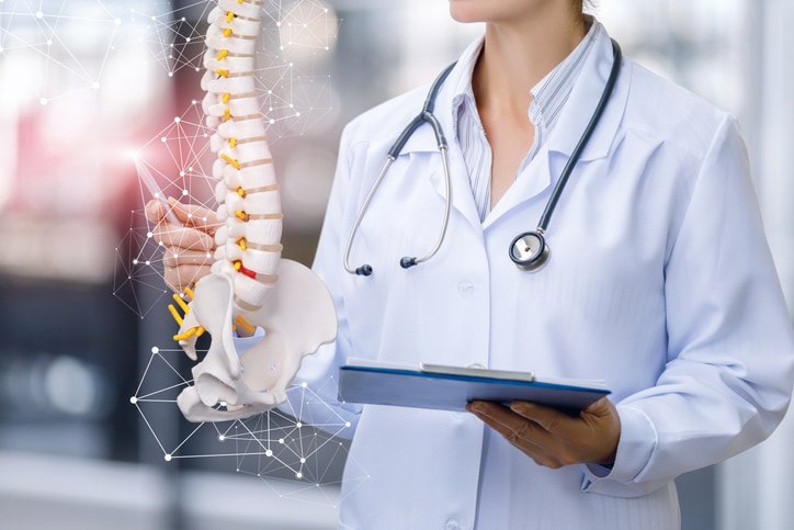 A medical worker shows the spine . iStock 1153698913